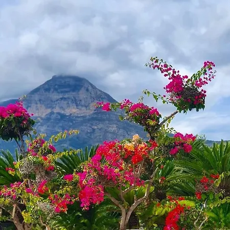 El Oasis Calpe