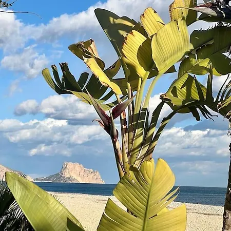 El Oasis