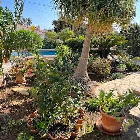 El Oasis *