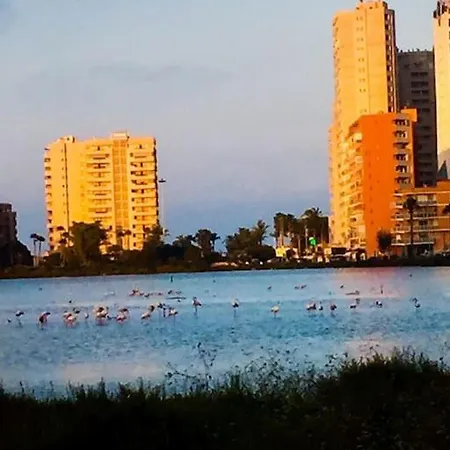 El Oasis Lägenhet